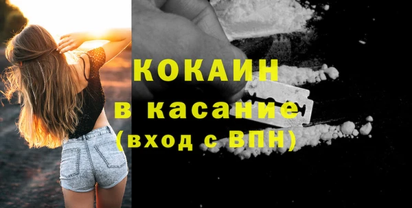 мдпв Магас
