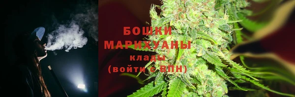 мдпв Магас