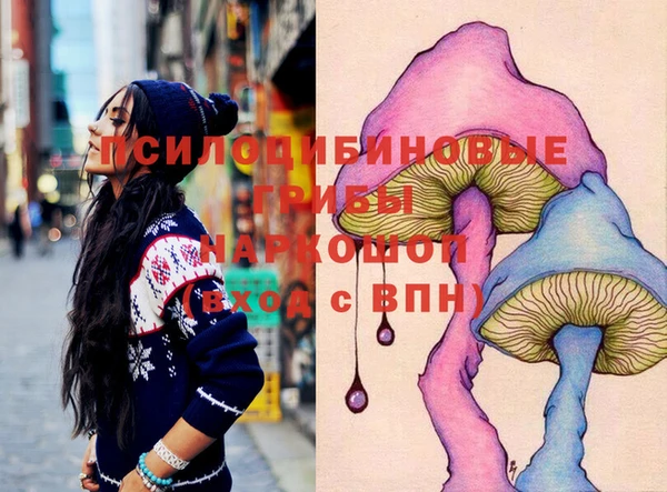 бутират Медногорск