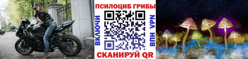 купить наркотики цена Медвежьегорск darknet состав Псилоцибиновые грибы MAGIC MUSHROOMS